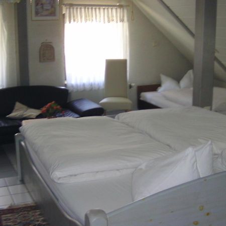 Hotel Zur Guten Quelle Selters  Экстерьер фото